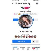 100 BỌC BƯỞI LƯỚI MÙNG 2 LỚP CỠ 30x40