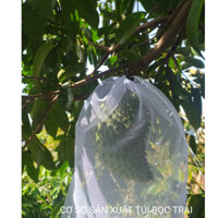 100 cái 35*40 Bao Bọc Các Loại Trái Cây MÃNG CẦU XIÊM,MÃNG CẦU GAI KÍCH THƯỚC 35*40