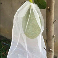 100 Cái 50*70cm TÚI LƯỚI DÀY BỌC MÍT - CỬA HÀNG TÚI BỌC