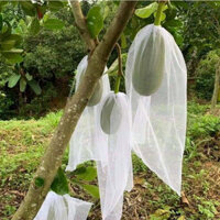 100 Cái 50*70cm TÚI LƯỚI TỐT BAO BỌC TRÁI MÍT THÁI