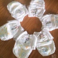 100 cái bỉm quần Nhật Size M L Xl (tặng 5 )