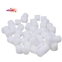 100 Cái / bộ Dụng Cụ Làm Vườn Thủy Canh Cây Xốp Trồng Rau Hệ Thống 44X30mm