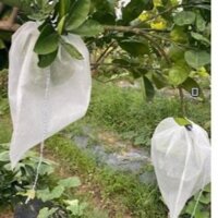 100 cái size 30x35cm túi bọc trái cây BƯỞI DA XANH, XOÀI, CHÙM MẬN, NHÃN bằng vải mềm thoáng không đọng nước mưa