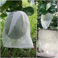 100 cái Size 30x35cm Túi bọc Bưởi, Xoài, Dưa lê chuyên dùng bao trái cây Ánh Dương