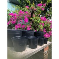 100 chậu nhựa đen C8 (18x14 cm) trồng cây, trồng hoa kiểng