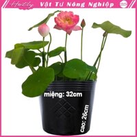 100 Chậu nhựa PE dẻo vĩ hiền, trồng hoa sen.súng.nuôi cá. C12 miệng,cao 32x26cm-77301