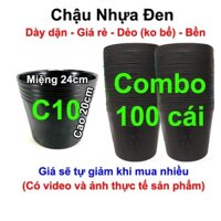 100 Chậu nhựa trồng Hoa, Cây cảnh C10 (24x20cm)