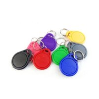 100 Chiếc Thẻ Chìa Khóa RFID MF13.56 MHz 14443A M1 F1108 Chìa Khóa IC Thông Minh TK4100 125KHz ID EM Tag Keyfob Kiểm Soát Truy Cập Thẻ RFID