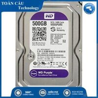 [100% CHÍNH HÃNG] Ổ Cứng Máy Tính WD Purple 500GB- 1TB(Tím) - Hàng Chính Hãng Western Digital