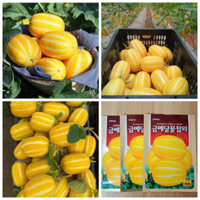 100 Hạt giống dưa lê siêu ngọt Hàn Quốc F1