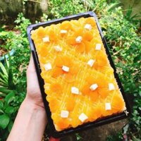 100 Hộp Đựng Bánh - Sushi - Chữ Nhật ST06