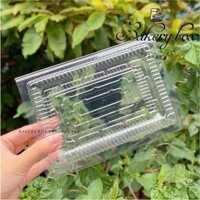 100 Hộp H55 Đựng Bánh Bèo - Bột Lọc - Kimbap - Su Kem