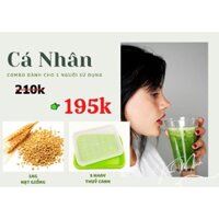 [100% HỮU CƠ] 1KG HẠT GIỐNG CỎ LÚA MÌ HỮU CƠ TẶNG 3 KHAY TRỒNG THUỶ CANH