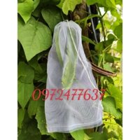 100 túi 15*30 Lưới Mùng bọc khổ qua, dưa Leo, đậu rồng