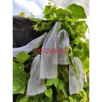 100 túi 20*60 lưới mùng bao bầu mướp