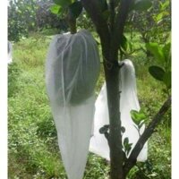 100 túi bao trái mít thái