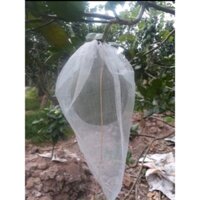 100 túi bọc bưởi chống côn trùng sâu bọ