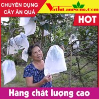 100 TÚI BỌC BƯỞI DA XANH 30X35 - LƯỚI MÙNG - DÂY RÚT