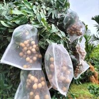 100 túi bọc nhãn chống côn trùng sâu bọ