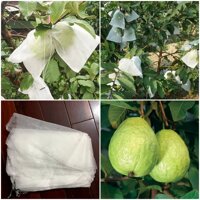 100 Túi Bọc Ổi Giá Rẻ - Kích Thước 18x20 cm - Chất Liệu Lưới Mùng - Loại Dây Rút