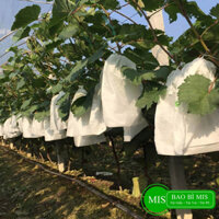 100 Túi Bọc Trái Cây, Hoa Quả Trên Cây Chống Côn Trùng, Túi Vải Bọc Ổi Nho Bưởi Xoài Na, Nhiều Kích Thước