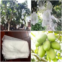 100 Túi Bọc Xoài Giá Rẻ - Kích Thước 22 x 28 cm - Chất Liệu Lưới Mùng - Loại Dây Rút