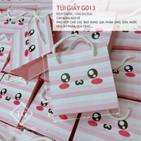 100 Túi giấy G013