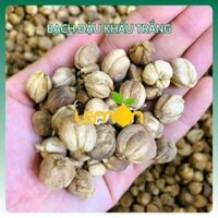 [100g-500g] Bạch đậu khấu cay thơm tốt cho sức khỏe, dùng nấu phở, lẩu cay Tứ Xuyên