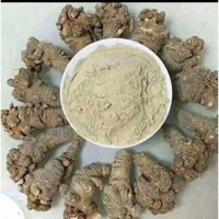 100g bột Tam thất bột, củ to loại 1