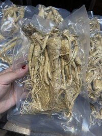 100g nhân sâm khô nguyên củ