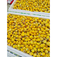 100g Trà hoa vàng, trà tiến Vua- Đặc Sản Ba Chẽ Quảng Ninh