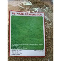 100gram hạt giống cỏ nhung Nhật