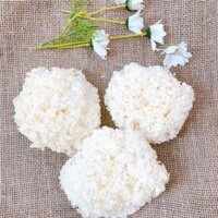 100gram Nấm Tuyết Khô Tự Nhiên Ngân Nhĩ Loại Cao Cấp Sạch Ngon