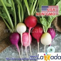 100h Hạt Giống Củ Cải - Cầu Vồng Trứng Easter Egg (Raphanus sativus)