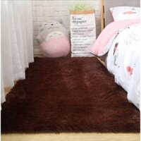 100QN JDGH Bỏ sỉ Thảm Lông Trải Sàn Trang Trí - Thảm 1m2 Đến 2m3 44