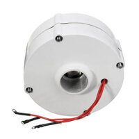 100W 12V 24V Three-phase Current PMSG Generator White For Wind Turbine