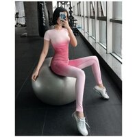 10.10 Set quần áo tập gym yoga thể thao nữ ( Ombre ) .