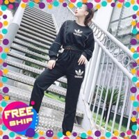 10.10 Video và ảnh thật - Set bộ áo croptop và quần bo chân .