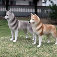 1053 Mô hình chó Husky siêu đẹp