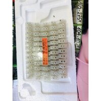 10c cầu đấu nhựa 60A