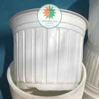 10c Chậu nhựa trồng cây 26x20cm Trắng sữa - Chậu nhựa trồng hoa, phù hợp các dòng hoa bụi lớn, chậu trồng hoa hồng