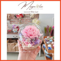[10cm] Chụp thủy tinh / Quả cầu thủy tinh hoa hồng khô vĩnh cửu hình cầu (size 10cm)