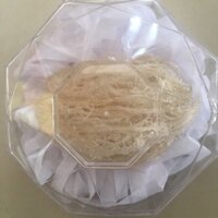 10g Yến sào