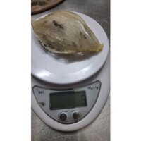 10gr TỔ YẾN THÔ NHÀ NUÔI