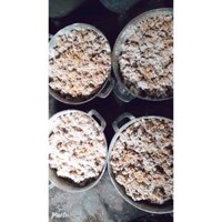 10KG cơm Rươu Nếp đặc biệt