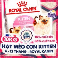 10kg Hạt Kitten 36 Royal Canin mèo con dành cho mèo con từ 4 - 12 tháng tuổi Garé Pet Shop