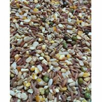 10kg Ngũ Cốc Cho Gà Đá Ngũ Cốc Cho Bồ Câu Ngũ Cốc Cho Gà Đẻ Ngũ Cốc Gà Chọi