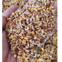 10KG Ngũ Cốc Gà Đá Ngũ Cốc Cho Gà Chọi Ngũ Cốc Cho Đá Ngũ Cốc Bồ Câu Ngũ Cốc Cho Gà Kiểng