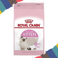 10kg Royal Canin Kitten cho mèo 🎊🎊🎉🎉