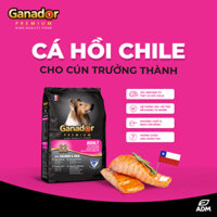 10KG Thức ăn cho chó trưởng thành Ganador vị cá hồi & gạo - Ganador Adult Salmon & Rice